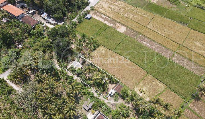 460m2 Stunning Land With Ricefield View In Tanah Lot 2