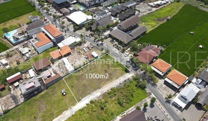 1000m2 Land For Sale In Canggu 2