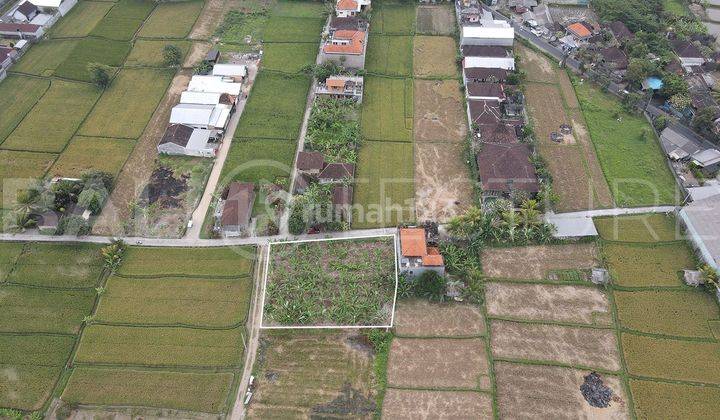 900m2 Stunning Land with Rice Field View In near Prime area Ubud 2