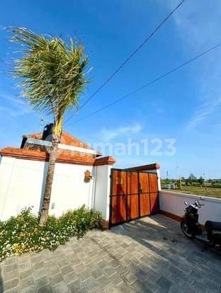 Disewakan Villa 2 Kamar View Sawah Di Sanur 1