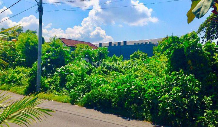 Land for rent 380 m² Next to Papaya Kuta VR 2