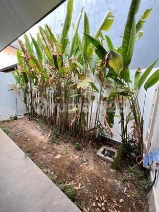 Disewakan Rumah 3 Kamar Di Jimbaran Ls 2