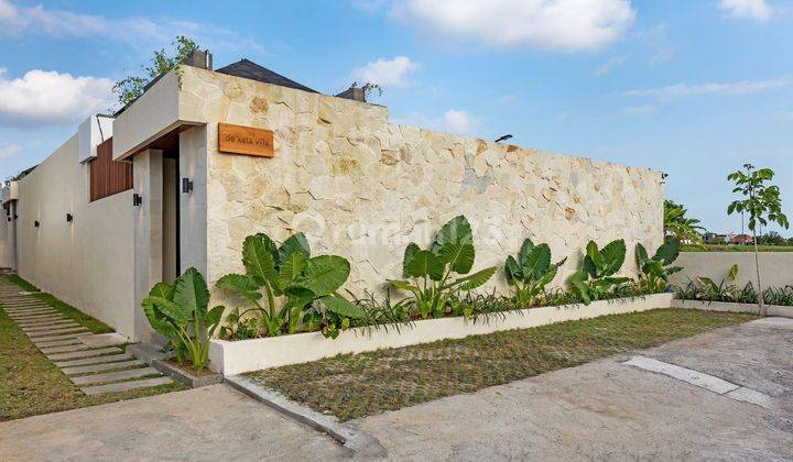 Disewakan Private Pool Villa View Sawah Di Berawa Canggu Pk 1