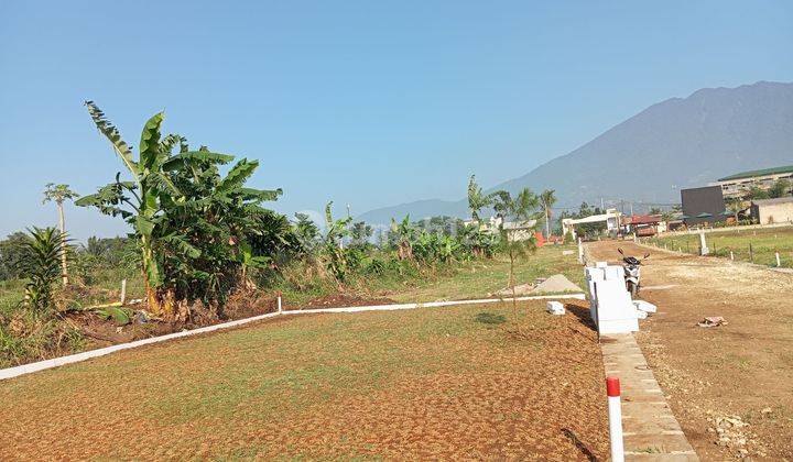 Tanah SHM 100 m² Dekat Stasiun View Gunung Salak 2