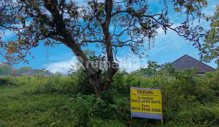 Dijual Kavling Tanah dihunian Ekslusive Lembah Padi Utara, Telaga Kahuripan, Bogor