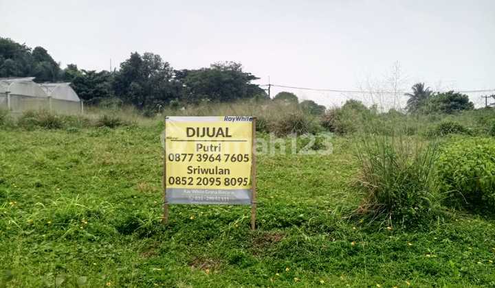 Dijual Kavling Tanah di Cluster Lembah Padi Utara Telaga Kahuripan cocok untuk bangun rumah atau budidaya tanaman Hidroponik