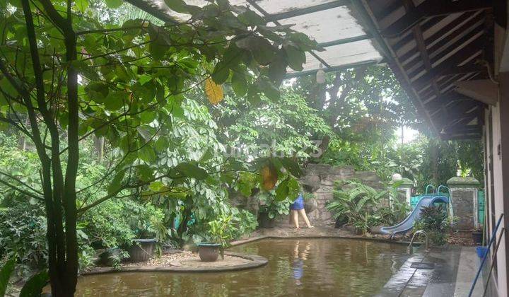 Rumah Hook di Tebet, Tempat Tinggal Ok Tempat Usaha Lebih Ok  2