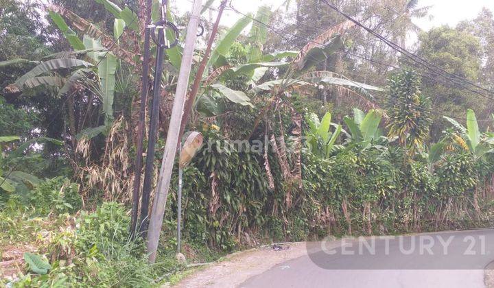 Tanah Kebun Luas Pinggir Jalan Di Kp Palasari Girang S7866 2