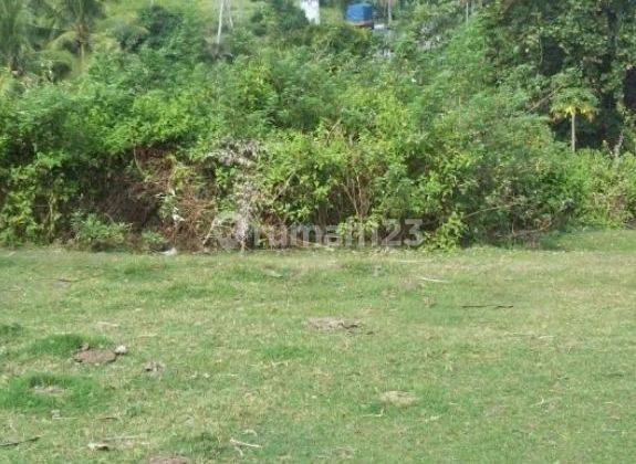 Land SHM 7005 m² Jembrana Bali Near Beach 2