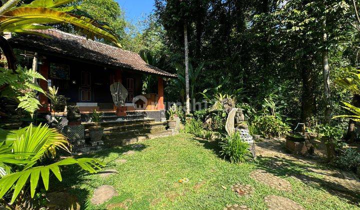 House In Tampaksiring Bali East Ubud Good SHM 1