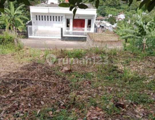 Dijual Tanah Di Cigadung Dago Dijual Tanah Di Cigadung Dago