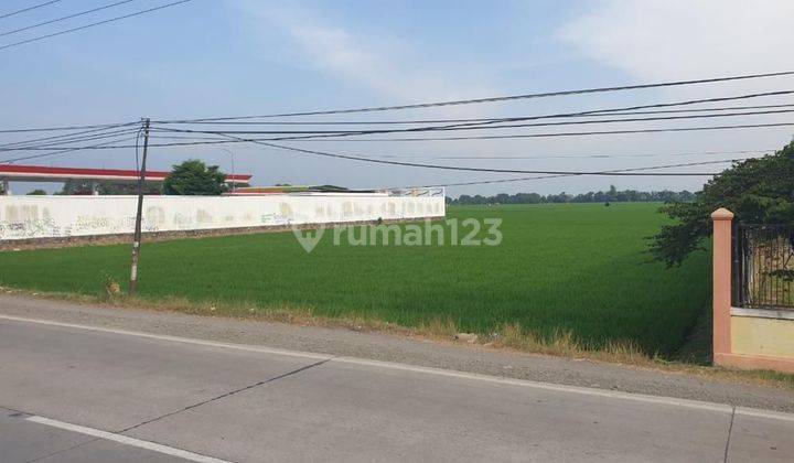 Dijual Tanah Di Pamanukan Subang 1