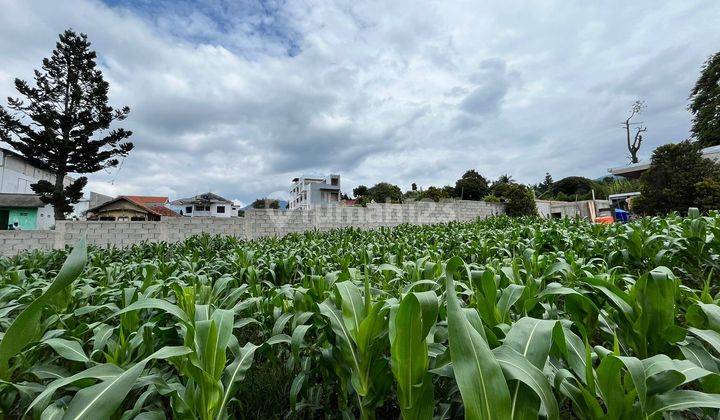 Dijual Tanah Di kolonel Masturi Lembang Nego Sampai Jadi 2