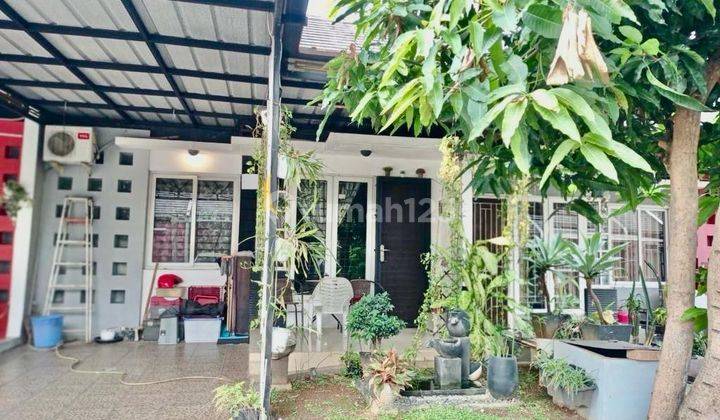 Rumah sudah renovasi belakang sudah di dak,atap baja ringan semua pintu dan jendela ada teralis dan carpot sudah ada kanopi 1