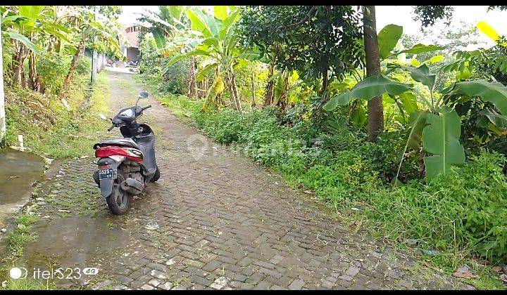 Tanah di Tembalang Cocok Unt Kos kosan Maupun Rumah Tinggal 2