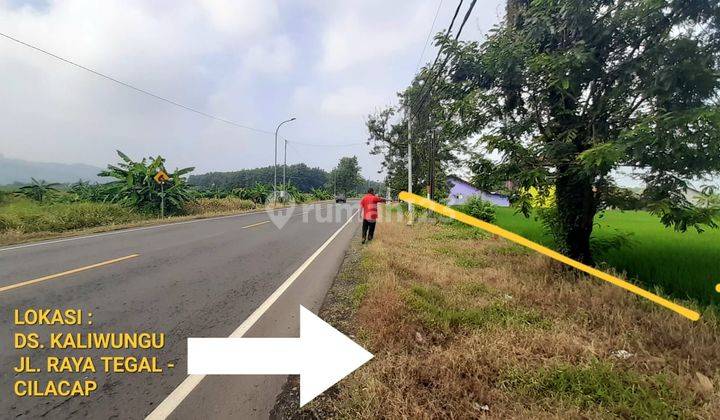 Tanah SHM Lokasi Strategis di Kaliwungu, Balapulang, Tegal 1