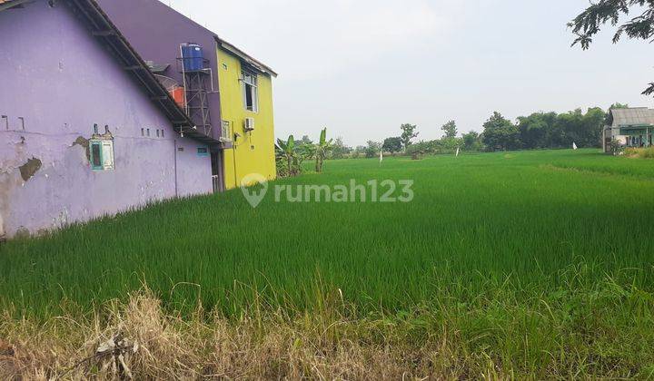 Tanah SHM Lokasi Strategis di Kaliwungu, Balapulang, Tegal 2