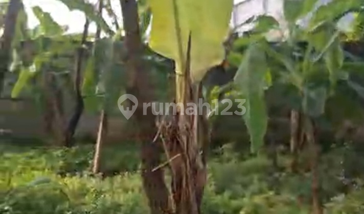 Dijual Tanah Kosong Cocok Utk Usaha Dan Kontrakan