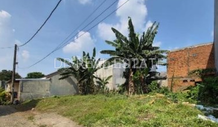 For Sale Lestari Molek Plots, Gading Serpong For Sale Lestari Molek Plots, Gading Serpong