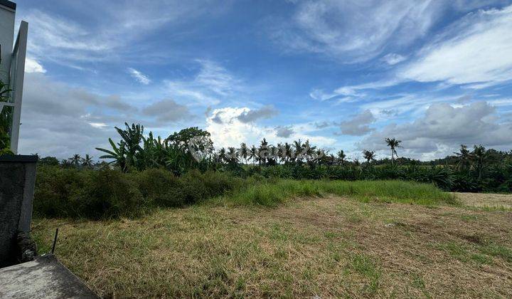 Plot of land on Jalan Pantai Yeh Gangga, Gubug, Tabanan, Gubug 2