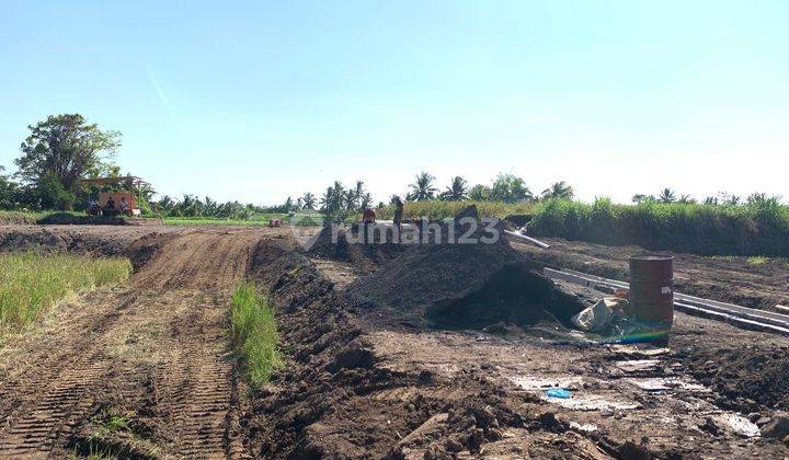 Tanah Lokasi Strategis Di Area Abiansemal, Badung 2