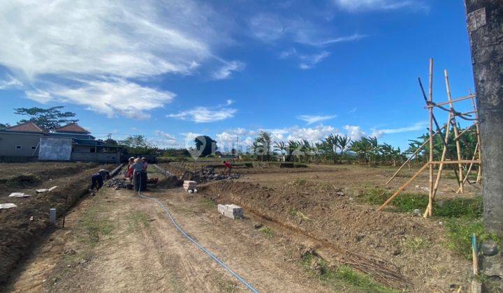 Tanah Kavling Murah Di Area Tulikup, Gianyar 2