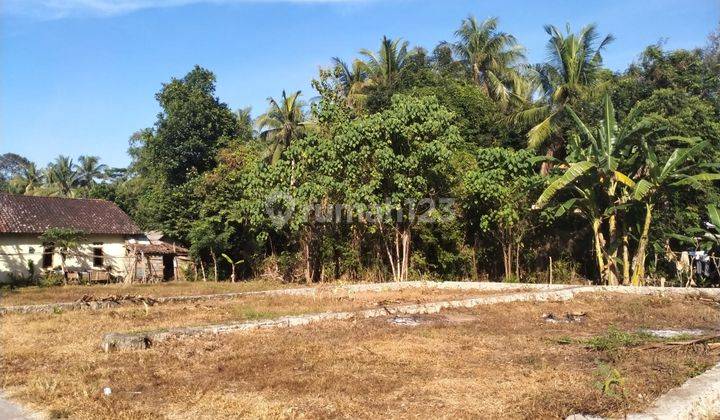 Jual Tanah Tanpa Perantara, Tanah Dekat Bandara YIA  2