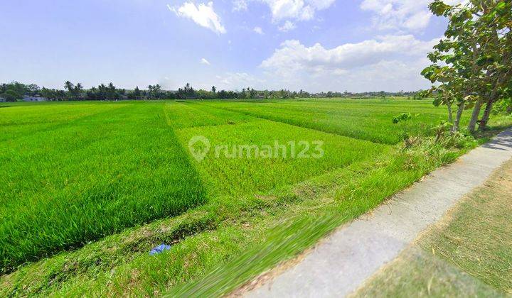 Bantul Jogja, Tanah Murah Bangun Rumah Dan Villa 2