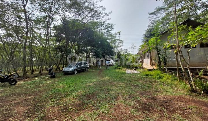 Tanah Cikupa Luas 2,5ha Untuk Perumahan Sudh SHM Lokasi Strategis