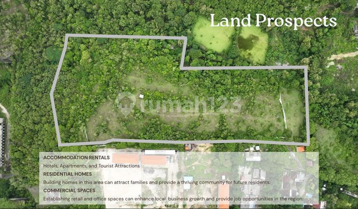Kavling Bali Luas 3Ha Cocok Untuk Invest Residential & Commercial