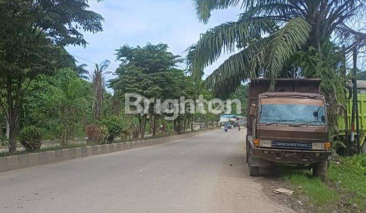 Tanah Pinggir Jalan Raya HAMM Rifaddin 2