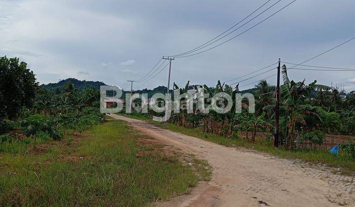 LAHAN LUAS SIAP BANGUN 2