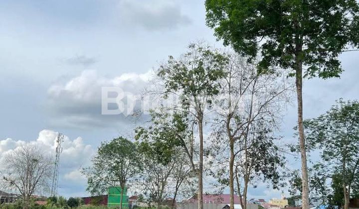 TANAH KAPLINGAN SIAP BANGUN TANAH KAPLINGAN SIAP BANGUN