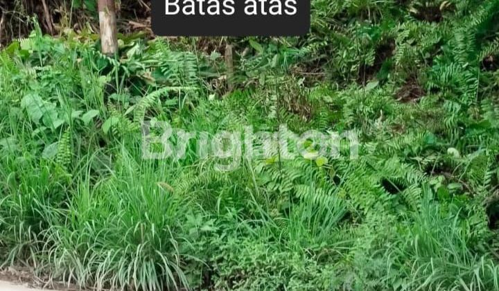 TANAH DEKAT PERGUDANGAN SUTAMI AKSES KONTAINER TANAH DEKAT PERGUDANGAN SUTAMI AKSES KONTAINER