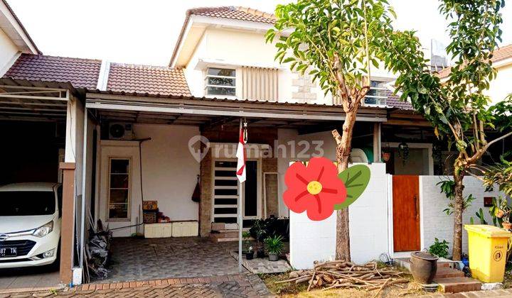 Jual Rumah 1lt Siap Huni Dibawah 1 M Di Puri Surya Jaya Sidoarjo 1