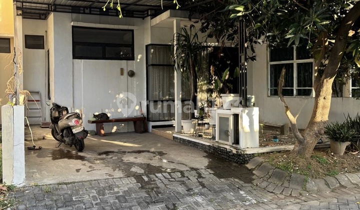 Rumah Siap Huni 1 Lt 105M2 di Perum Taman Tiara Regency Buduran Sidoarjo 2