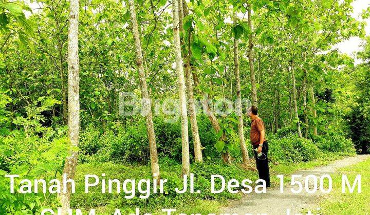 Dijual Cepat Tanah 1500m2 Di Munggut Madiun 1