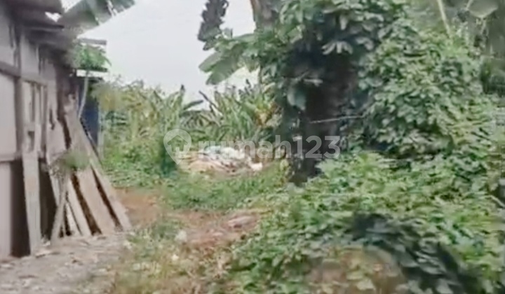 High Fill Land Ready to Build by the Roadside Near Ptc In Sambisari Lontar Surabaya High Fill Land Ready to Build by the Roadside Near Ptc In Sambisari Lontar Surabaya