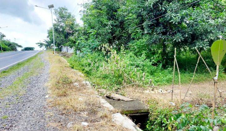 Jual Cepat Tanah L.336m2 Dekat Jl Ry Propinsi Surabaya Madiun 1