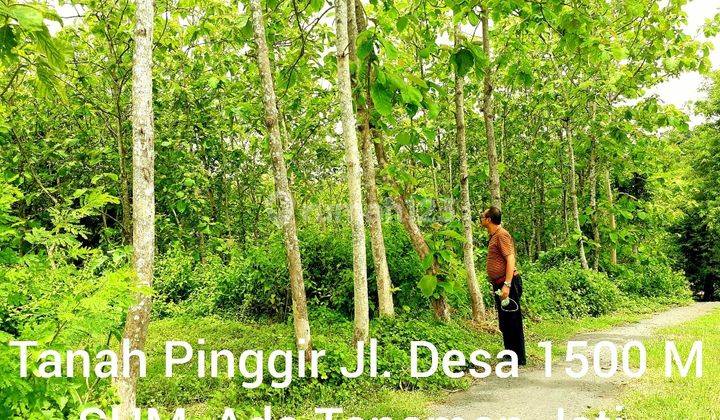 Jual Cepat Tanah L.1500 M2 Di Munggut Madiun Jatim 1