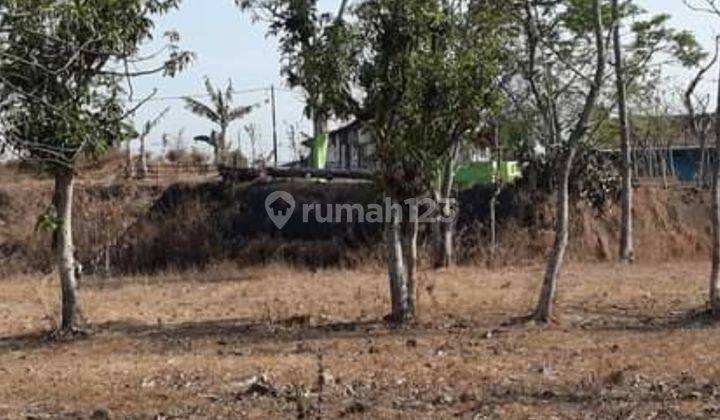 Jual Cepat Tanah L.336m2 Dekat Jalan Raya Propinsi Surabaya Madiun 2
