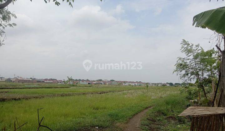 Dijual Tanah Peruntukan Perumahan Kutorejo Mojokerto 1