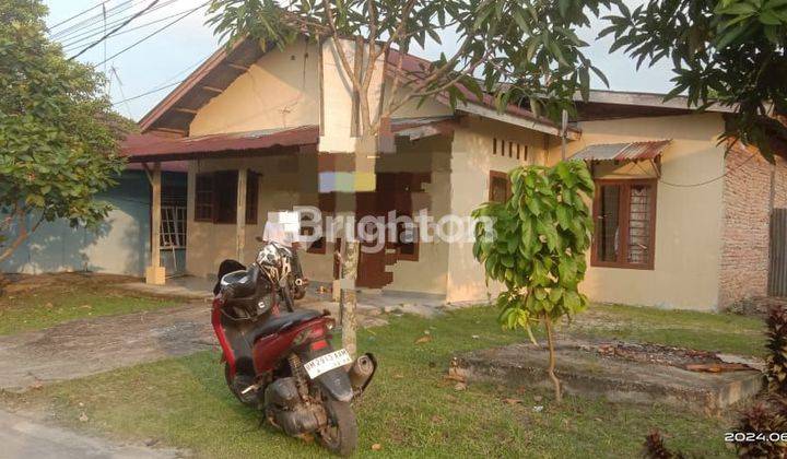 Rumah Dekat Kampus PCR dan Unilak 2