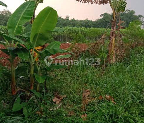 Dijual Tanah Besar di Dekat Gor Pemda Pakansari Cibinong 2