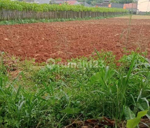 Dijual Tanah Besar di Dekat Gor Pemda Pakansari Cibinong 1