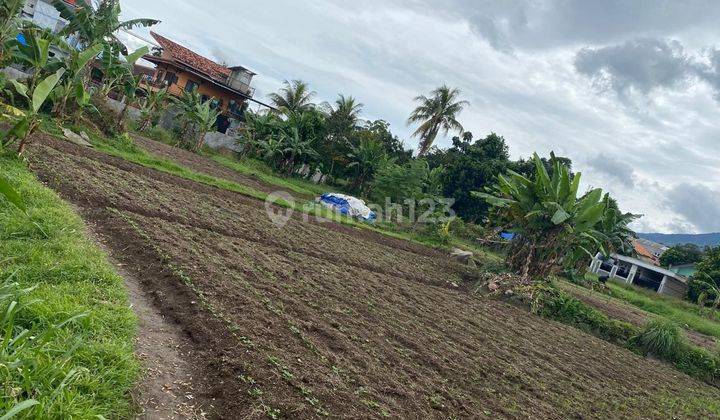 Dijual Tanah daerah Ciapus Bogor 2