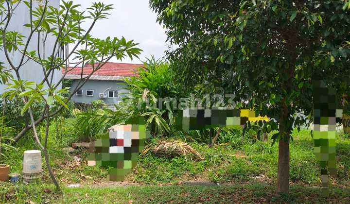 Kavling Siap Bangun di Cluster Taman Menteng Lippo Cikarang — Hanya 4.9 Jt/m²!