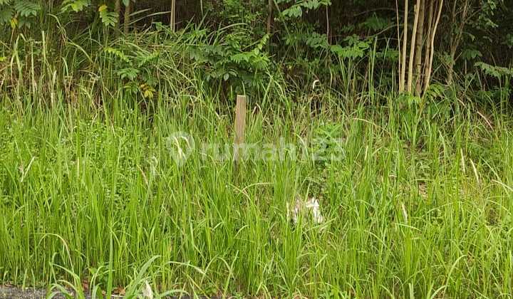 Quick Sale Plot at Taman Simpruk - Lippo Cikarang, Price 3.8 Million/m² Quick Sale Plot at Taman Simpruk - Lippo Cikarang, Price 3.8 Million/m²