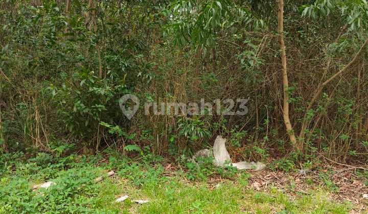 Quick Sale Taman Simpruk Plot - Lippo Cikarang, 3.5 Million / m² Quick Sale Taman Simpruk Plot - Lippo Cikarang, 3.5 Million / m²