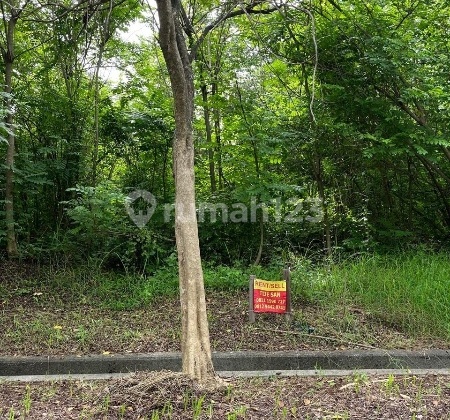 Kavling Strategis Luas 600 M², Taman Simpruk Lippo Cikarang, Hanya 4 Juta/M²! Kavling Strategis Luas 600 M², Taman Simpruk Lippo Cikarang, Hanya 4 Juta/M²!